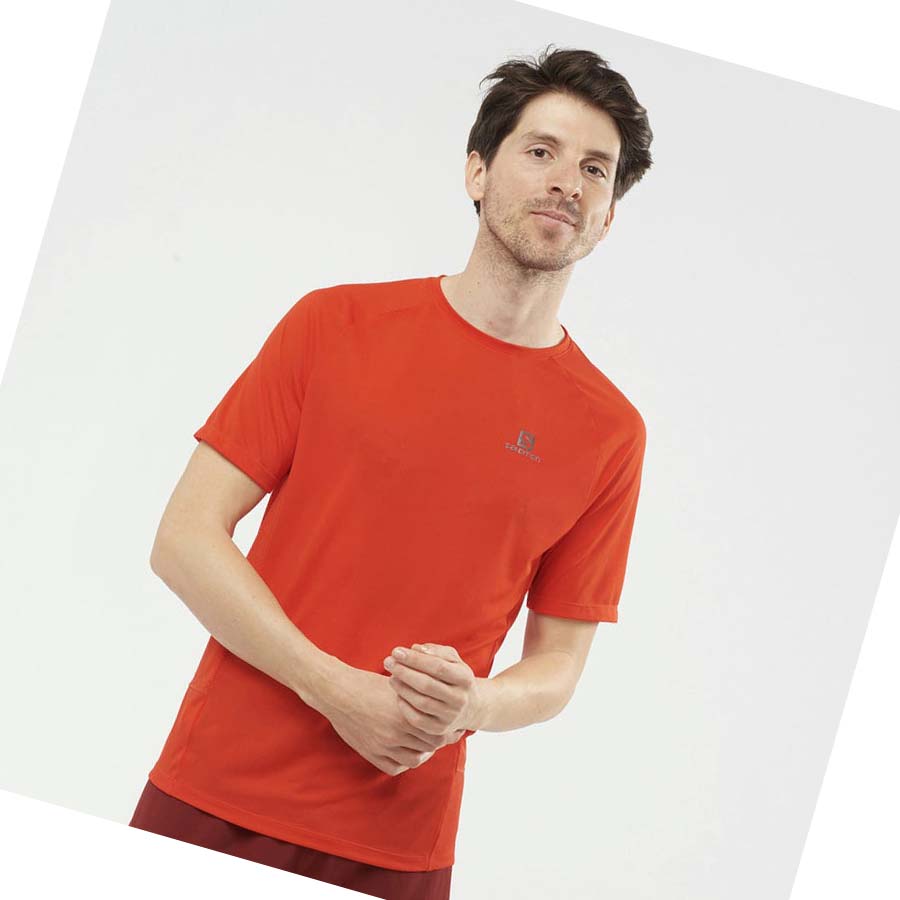 Camiseta Salomon PROMO CROSS REBEL Hombre Naranjas | MX 3239DFM